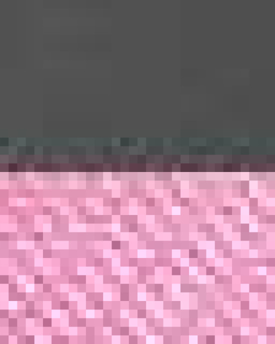 Snapback Trucker Cap