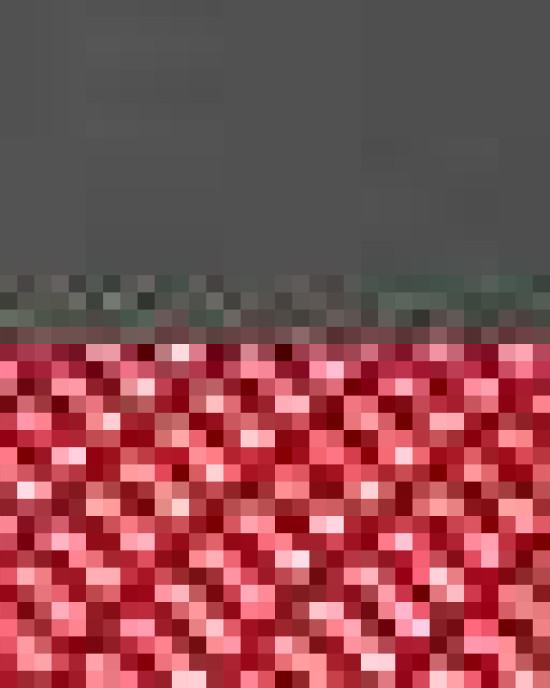 Snapback Trucker Cap