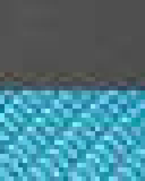 Snapback Trucker Cap