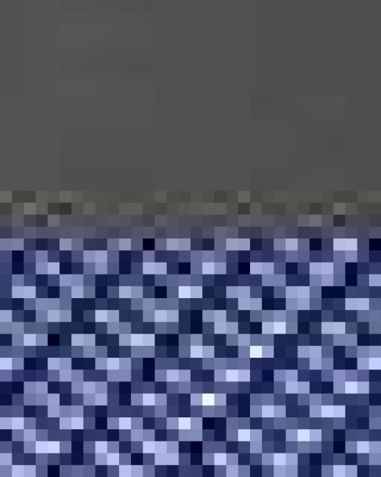 Snapback Trucker Cap