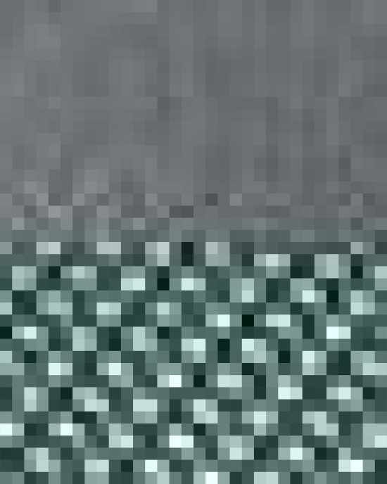 Snapback Trucker Cap