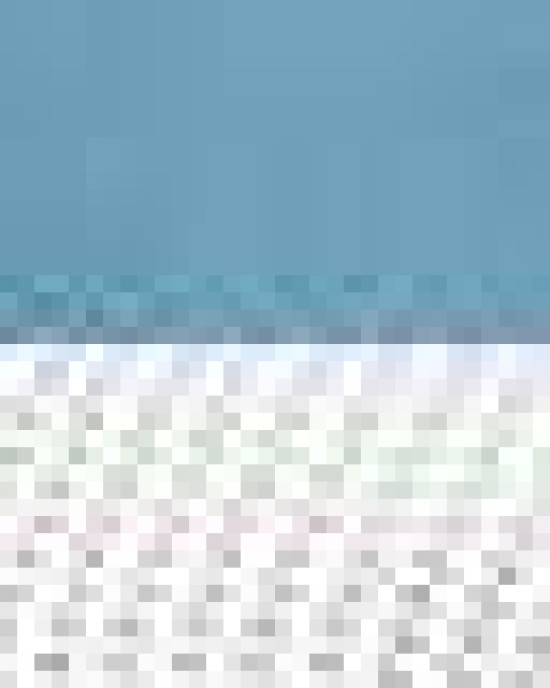 Snapback Trucker Cap