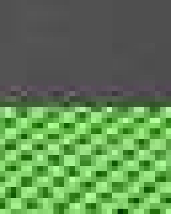 Snapback Trucker Cap