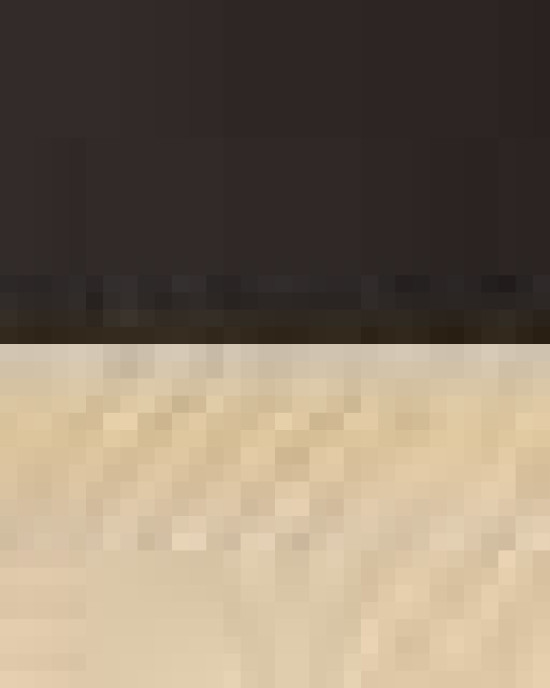 Snapback Trucker Cap