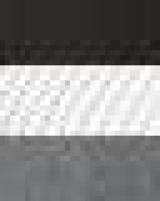 Snapback Trucker Cap