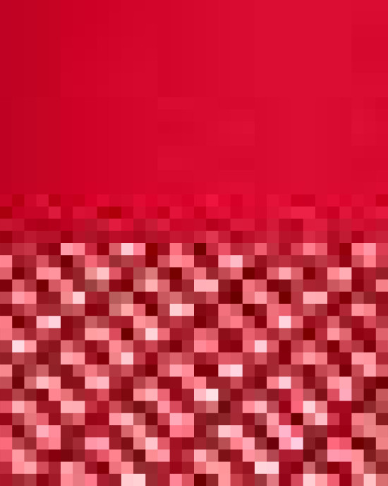 Snapback Trucker Cap