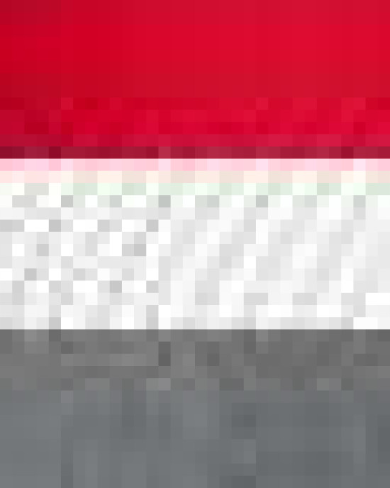 Snapback Trucker Cap