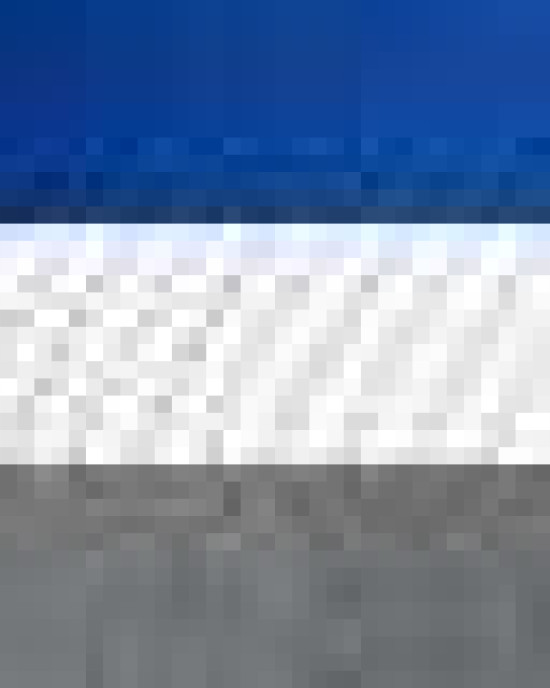 Snapback Trucker Cap