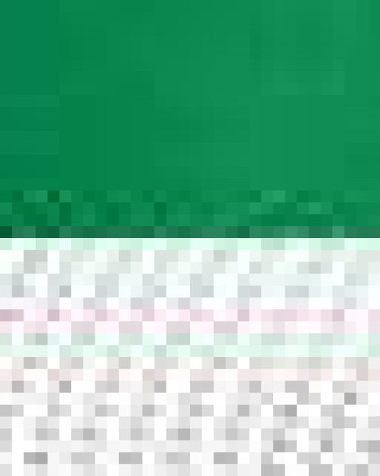 Snapback Trucker Cap