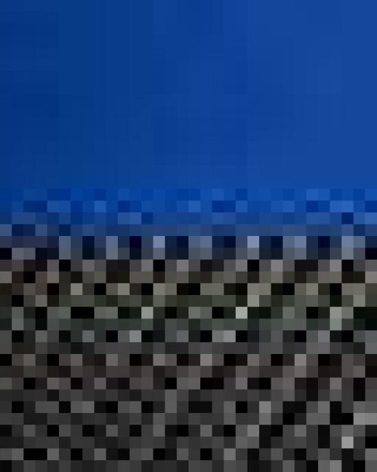 Snapback Trucker Cap