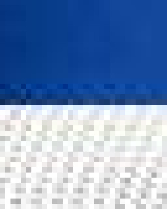 Snapback Trucker Cap