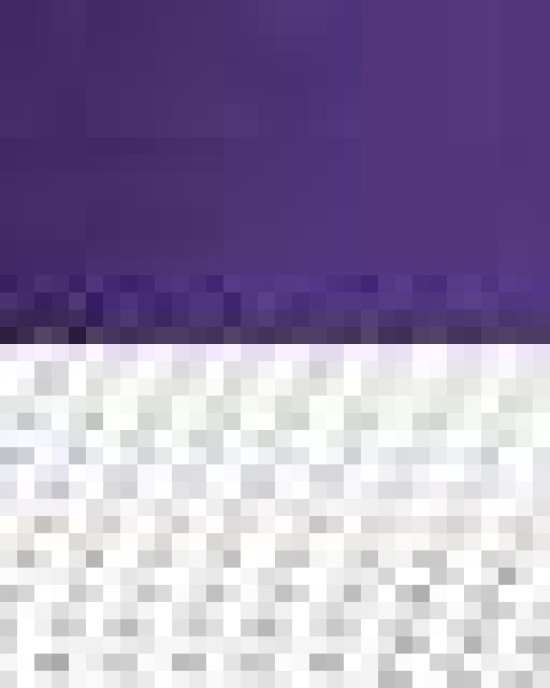 Snapback Trucker Cap