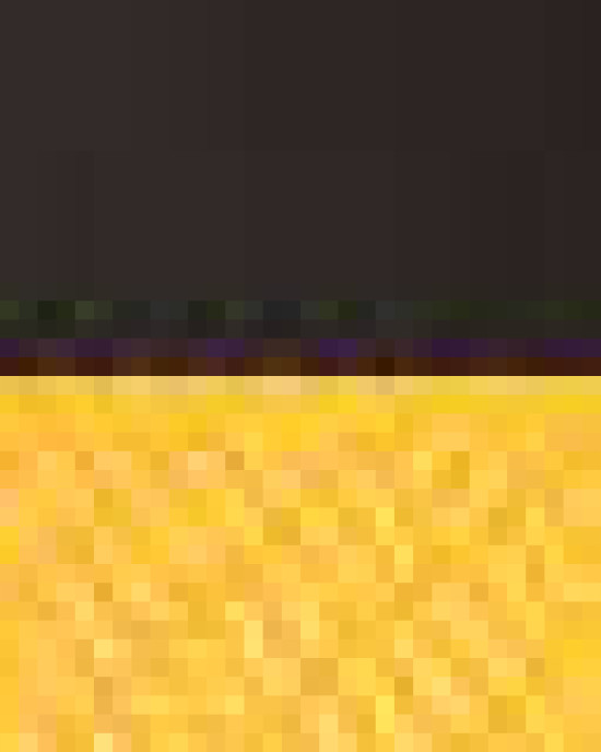 Snapback Trucker Cap