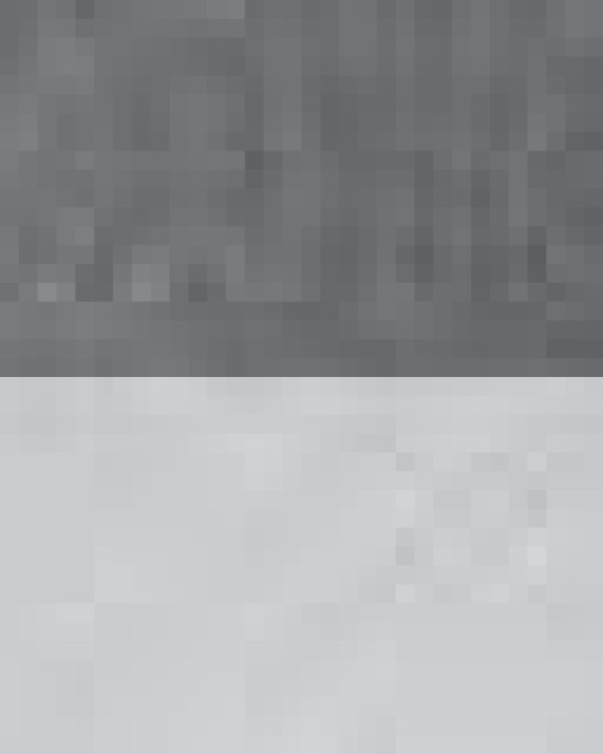 Snapback Trucker Cap