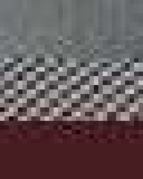 Snapback Trucker Cap