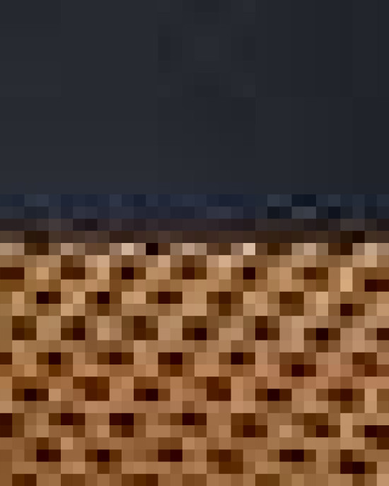 Snapback Trucker Cap