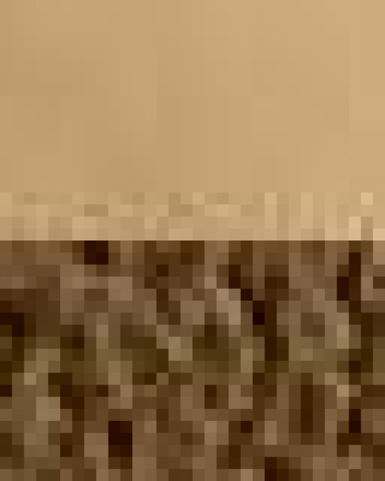 Men's Icon Fleece Jacket