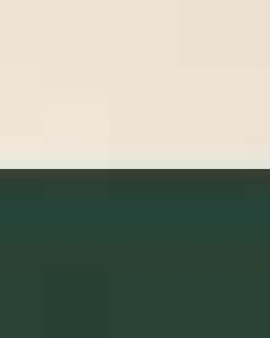 Unisex Cotton Ringer T-Shirt