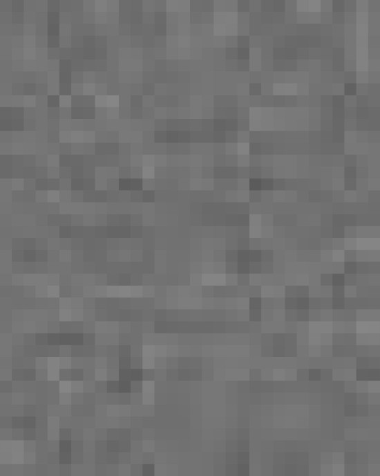 Unisex Midweight Full-Zip Hooded Sweatshirt