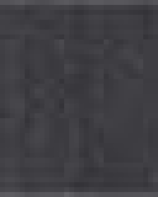 Unisex Reverse Weave® Hooded Sweatshirt