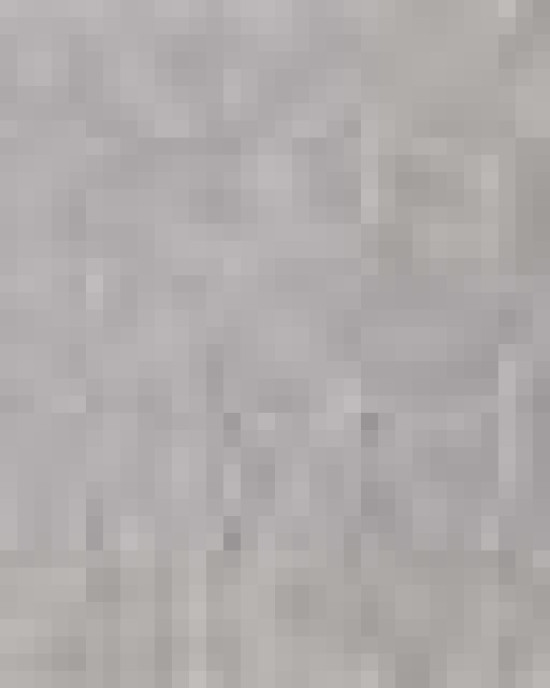 Unisex Reverse Weave® Hooded Sweatshirt