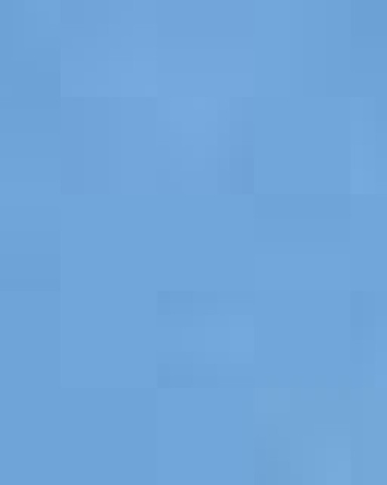 Women's Easy Blend Polo