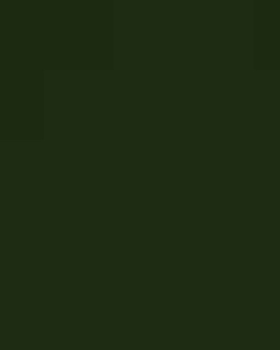 Women's Pinnacle Performance Long Sleeve Piqué Polo