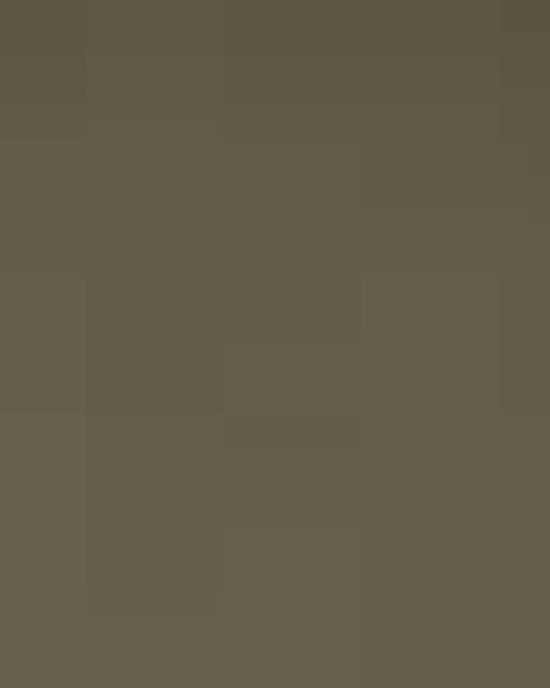 Unisex Cotton Pocket T-Shirt