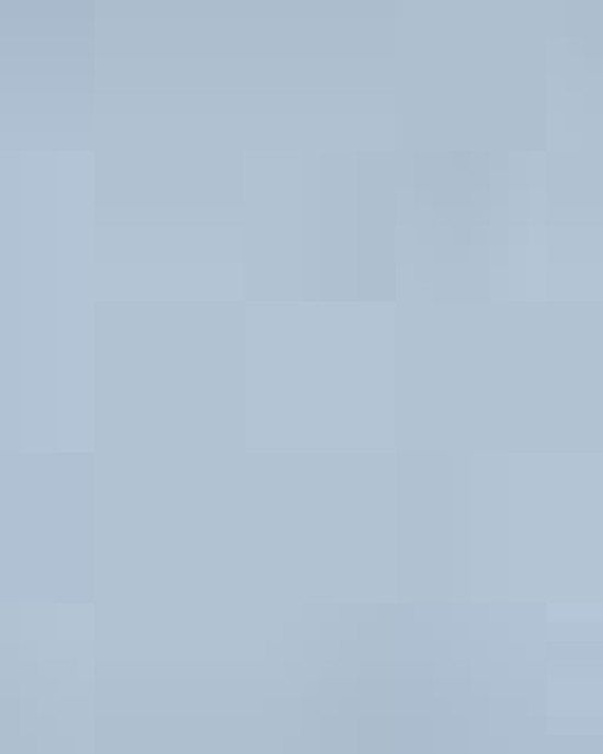 Unisex Heavyweight Fleece Hoodie Sweatshirt