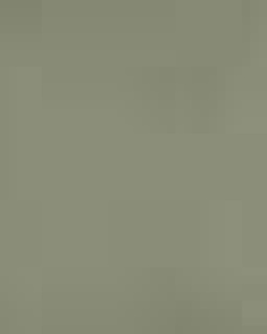 Unisex Heavyweight Fleece Hoodie Sweatshirt