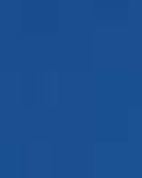 Unisex Heavyweight Hooded Sweatshirt