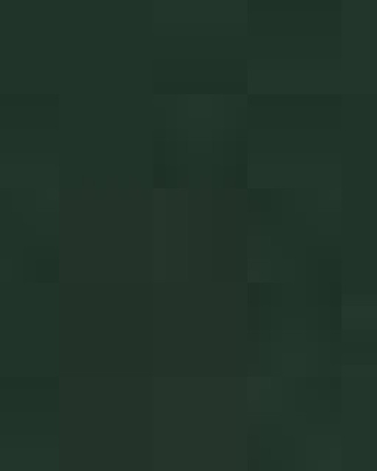 Unisex Powerblend® Hooded Sweatshirt