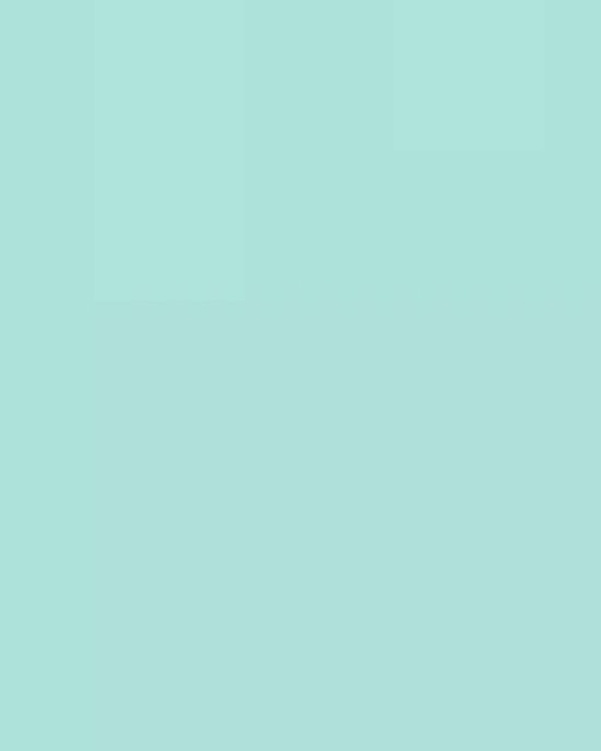 Unisex Midweight Hooded Sweatshirt