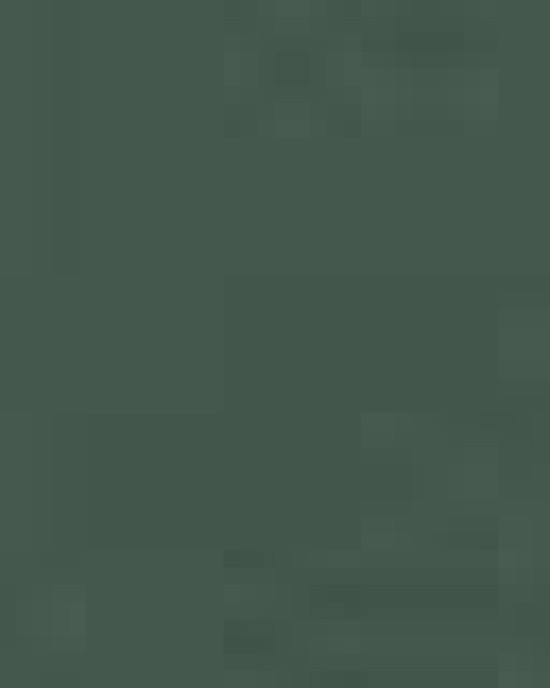 Unisex Midweight Hooded Sweatshirt