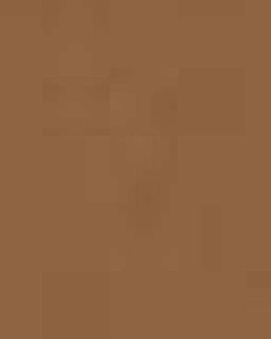 Unisex Midweight Hooded Sweatshirt