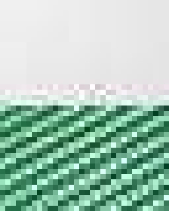 Foam Mesh-Back Trucker Cap