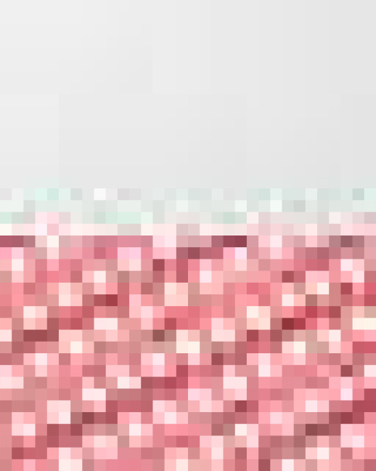 Foam Mesh-Back Trucker Cap