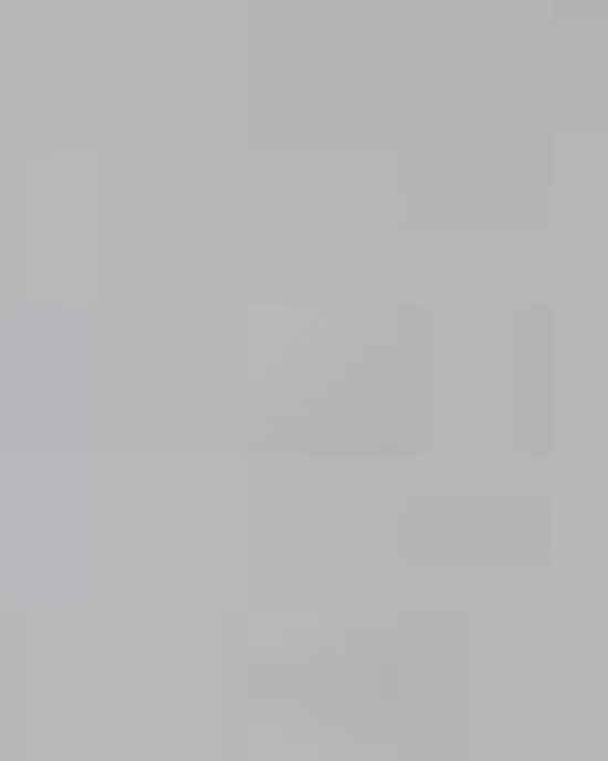 Unisex Softstyle® Midweight Crewneck Sweatshirt