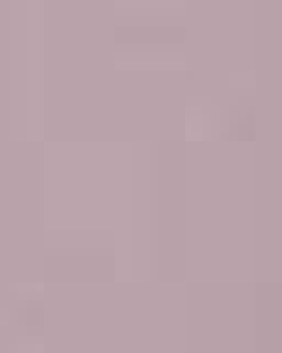 Unisex Softstyle® Midweight Crewneck Sweatshirt