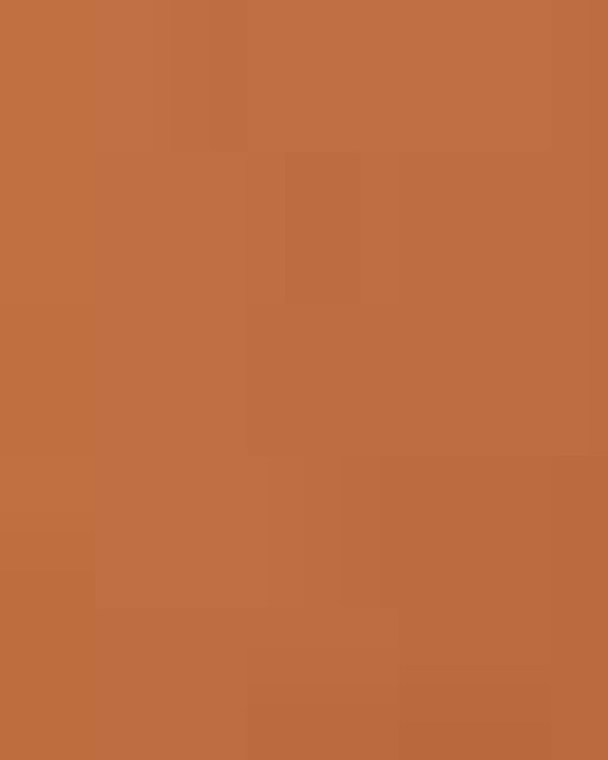 Unisex Softstyle® Midweight Hooded Sweatshirt