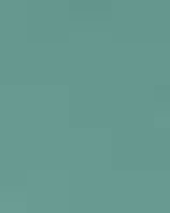 Unisex Softstyle® Midweight Hooded Sweatshirt