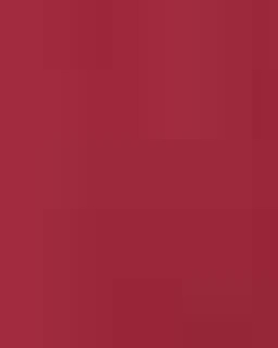 Unisex Softstyle® Midweight Hooded Sweatshirt