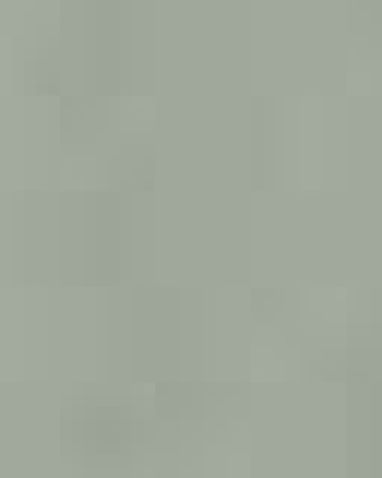 Unisex Softstyle® Midweight Hooded Sweatshirt