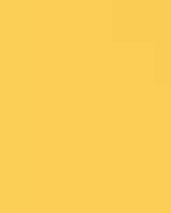 Unisex Capital Performance T-Shirt