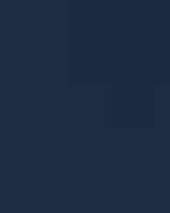 Unisex Capital Performance T-Shirt