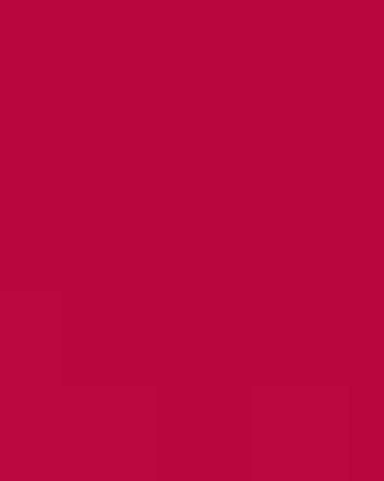 Unisex Capital Performance T-Shirt