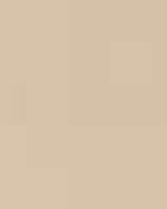 Unisex Capital Performance T-Shirt