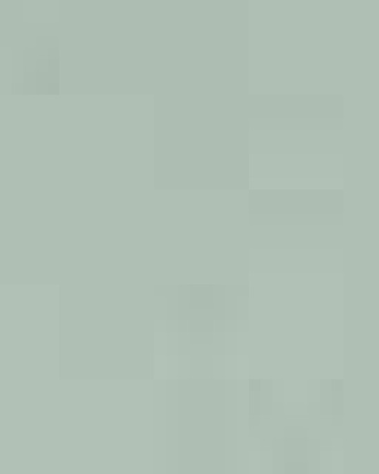 Women’s Lightweight Crop Hooded Sweatshirt