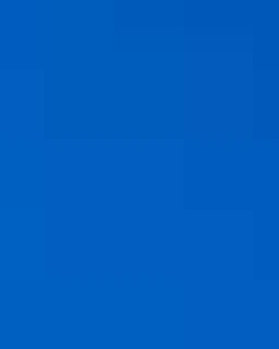 Unisex Capital Long Sleeve Performance T-Shirt