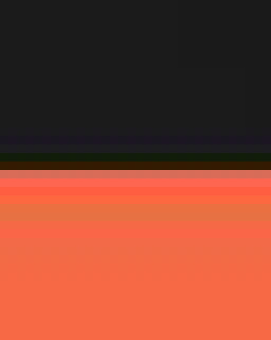 Women's Flash IL Colorblock Shirt